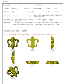 Design Patent Registration 1